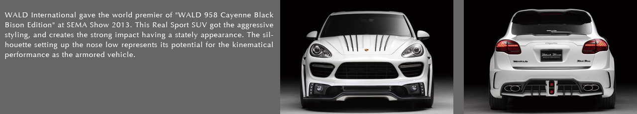 EXTERIOR - PORSCHE CAYENNE 958 BLACK BISON EDITION